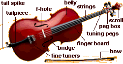 cello parts